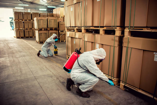 Best Bed Bug Extermination  in East Falmouth, MA