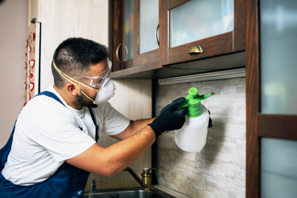 Best Cockroach Control Services  in East Falmouth, MA