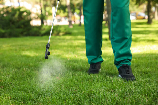 Wasp Removal Services in East Falmouth, MA